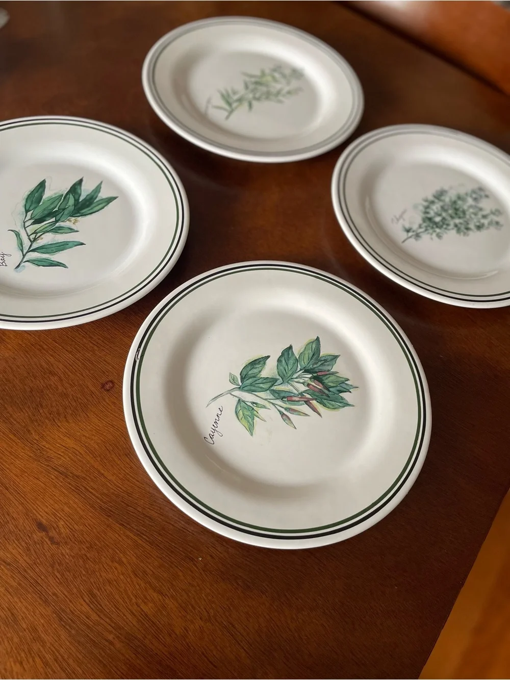 WILLIAMS SONOMA Portugal HERBS SALAD PLATES set of 4 Bay Thyme Cayenne Tarragon
